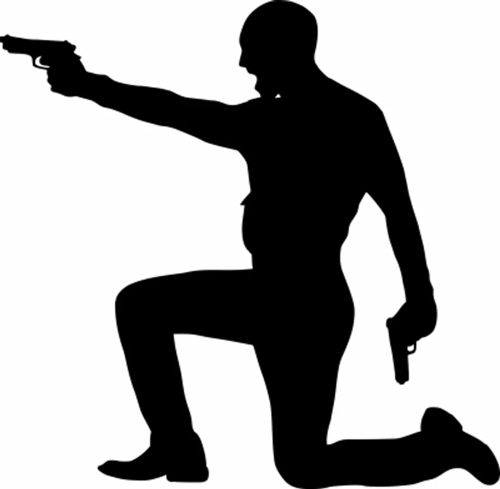 Gun