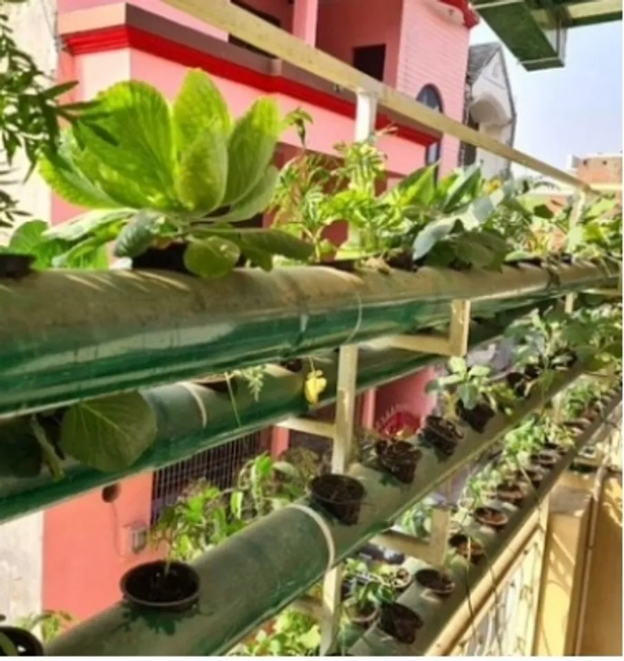 Hydroponic farming