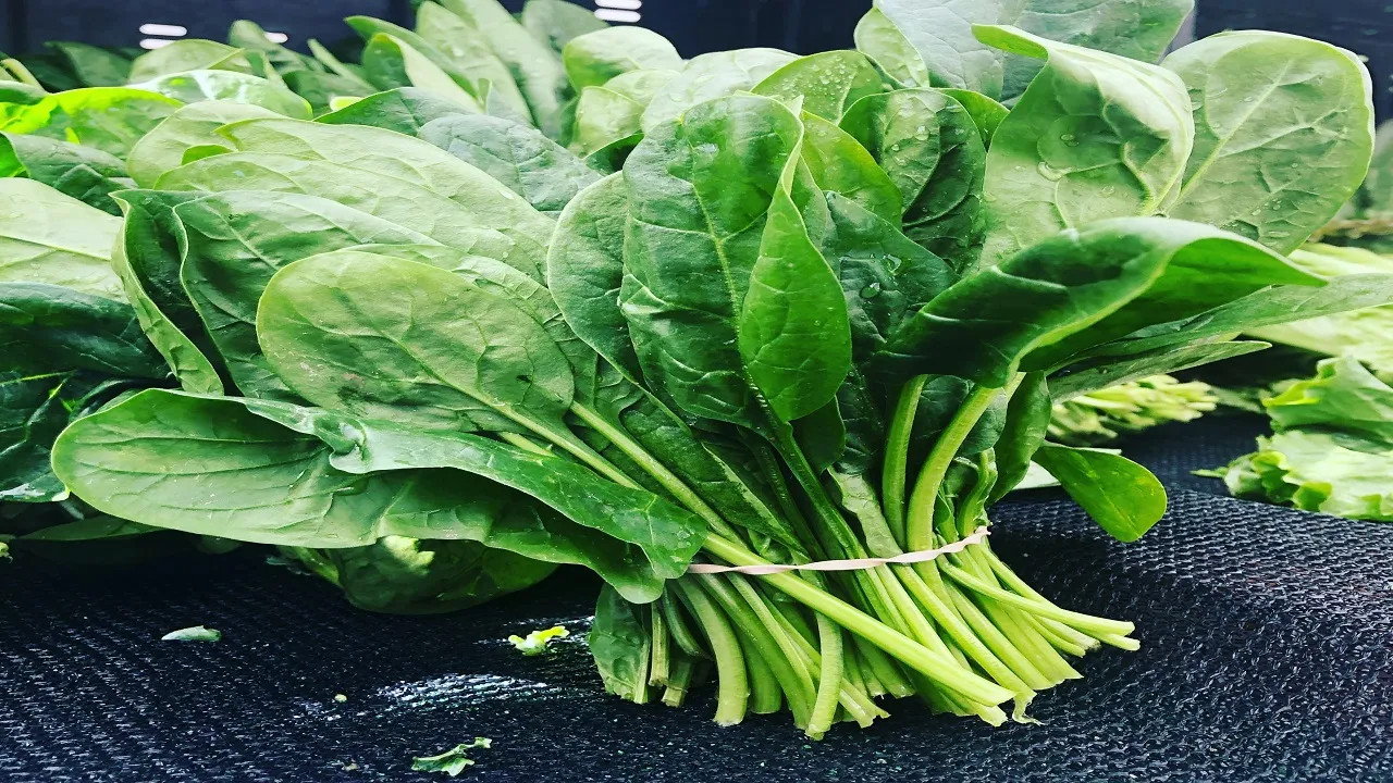 Eating Spinach with these food items is harmful