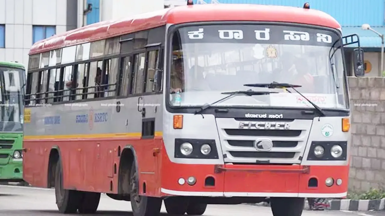 bus