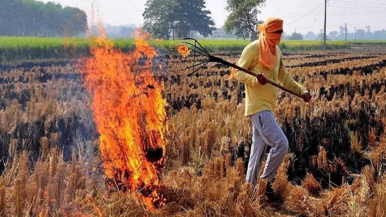 Stubble burning