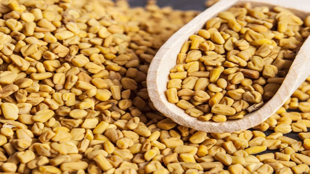 Methi seeds for reducing belly fat