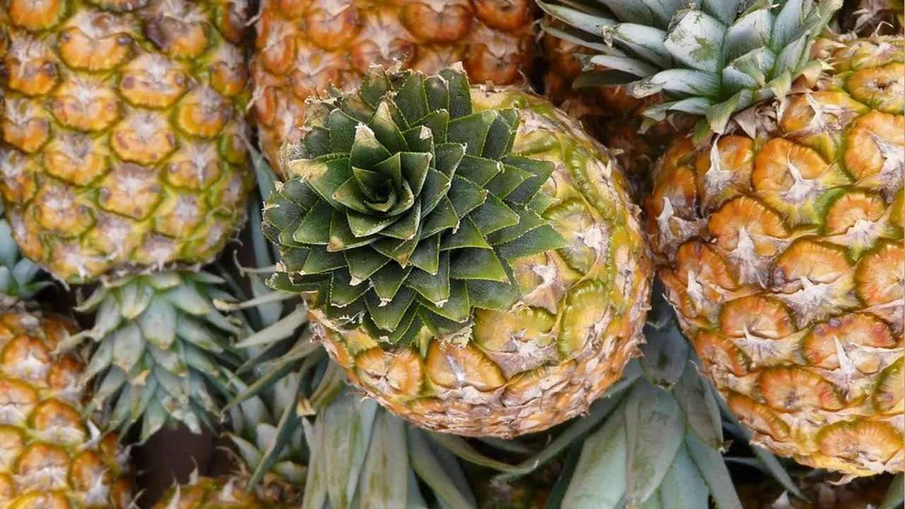Pineapple
