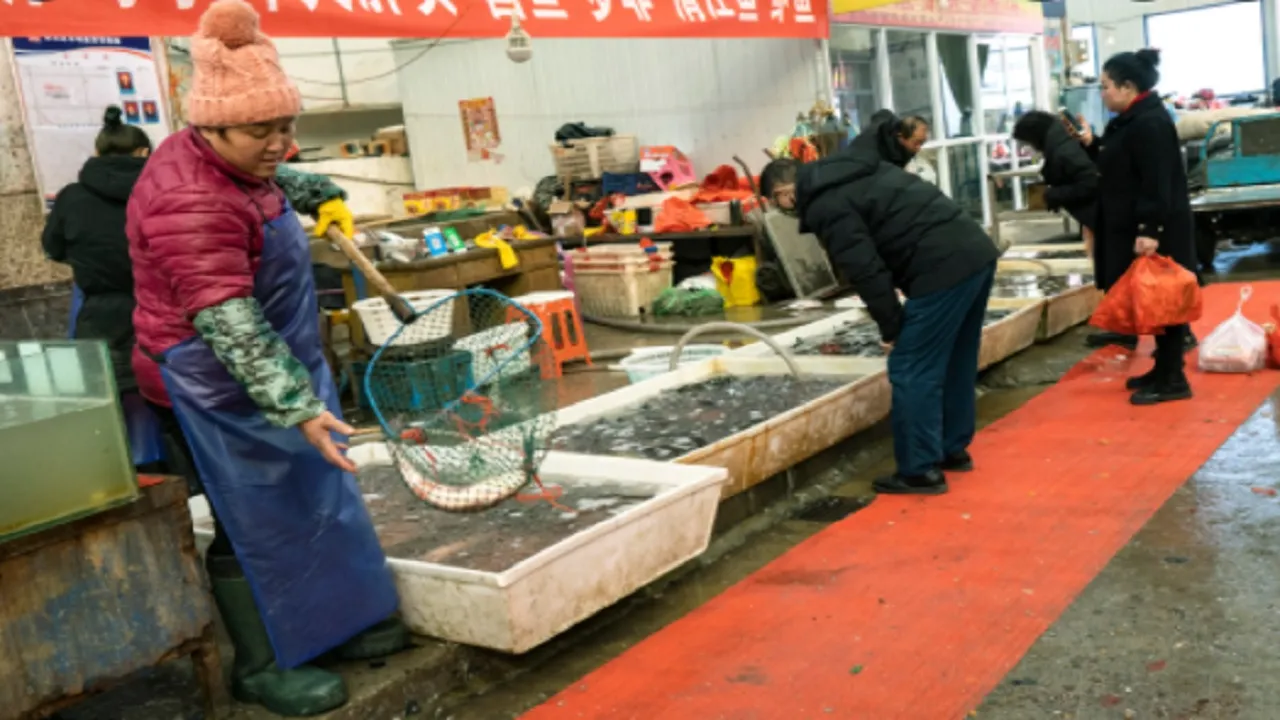 Wuhan Market