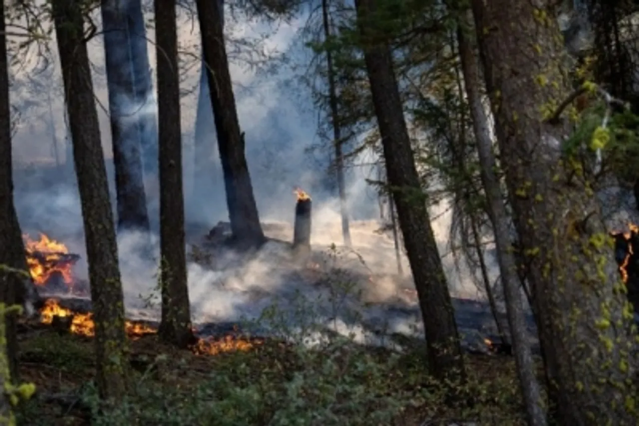 California wildfire