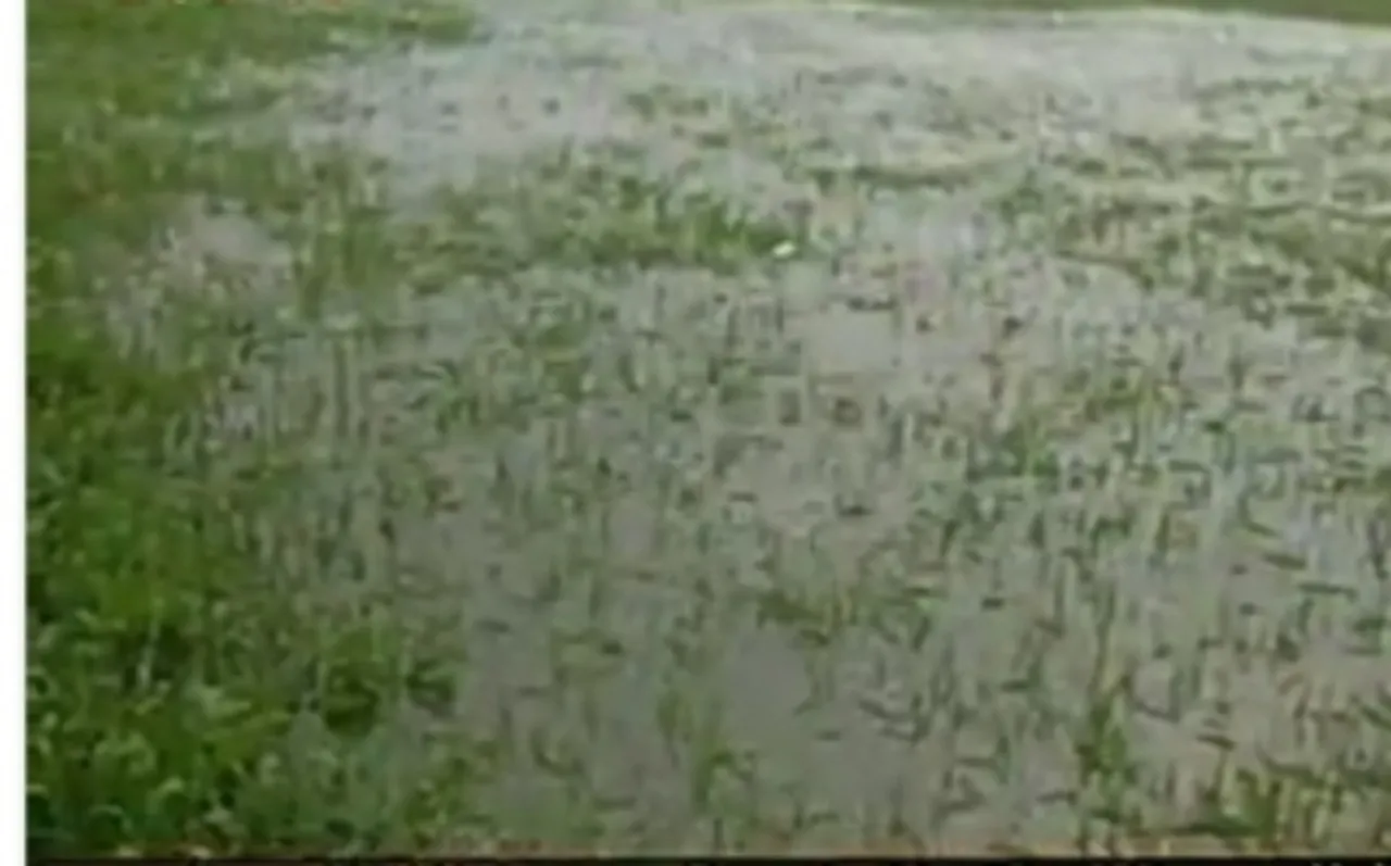 Ktaka rain