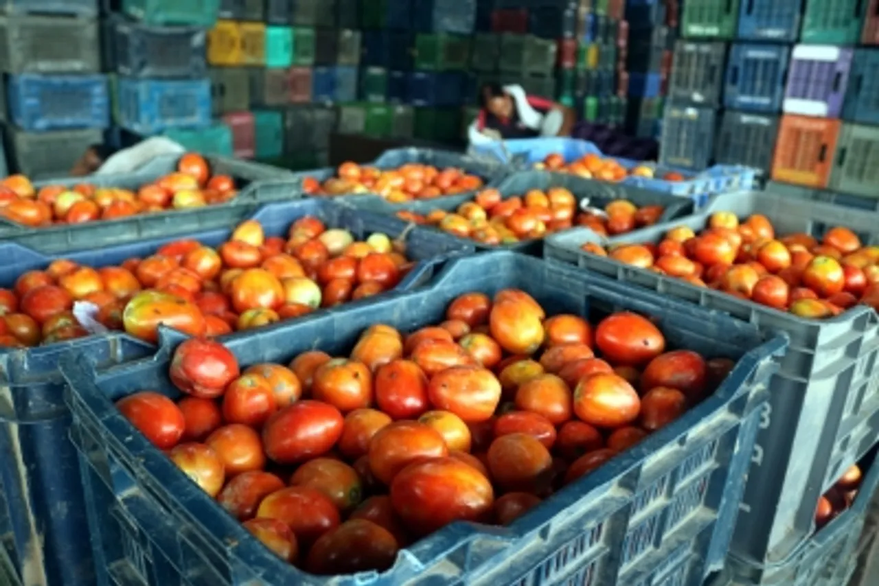 Tomato price