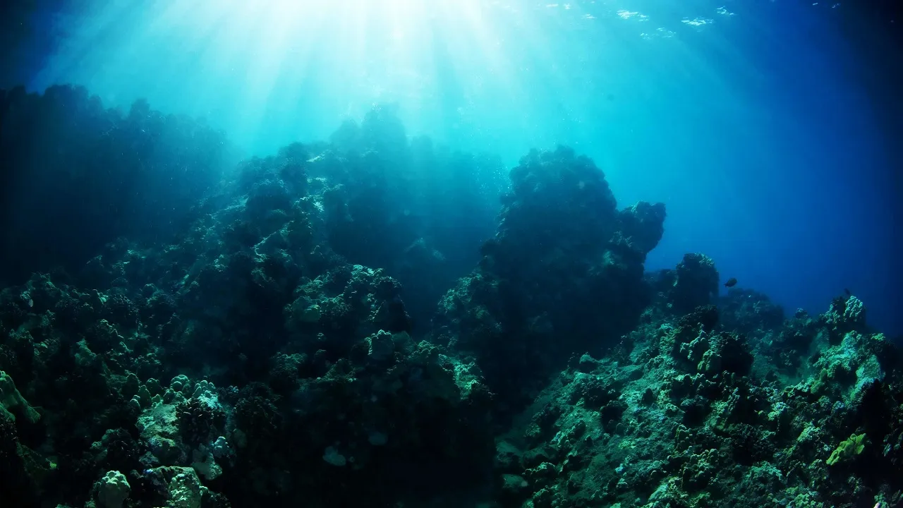 Underwater Scene
