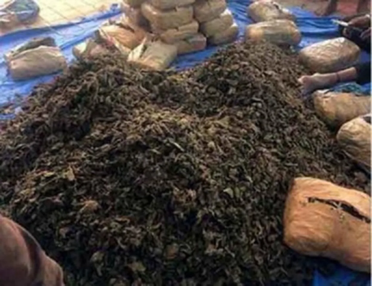 Ganja