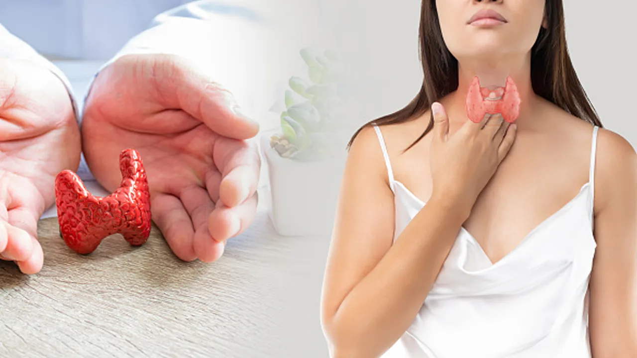 Tulsi for thyroid