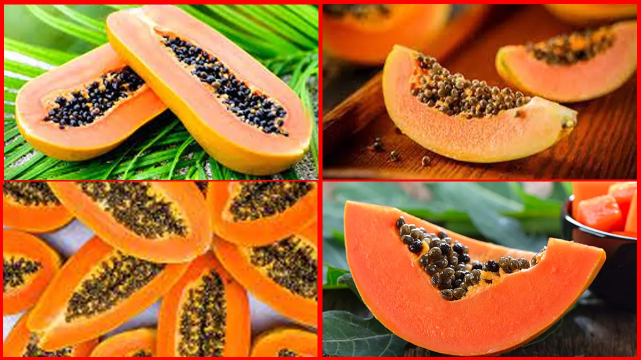 Papaya
