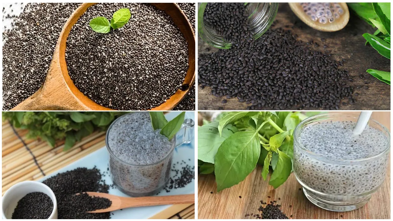 Basil seeds