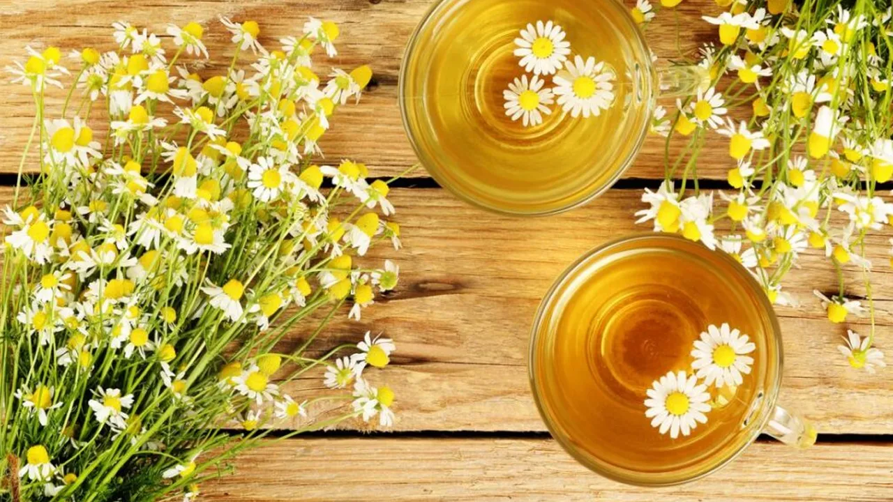 Chamomile Tea