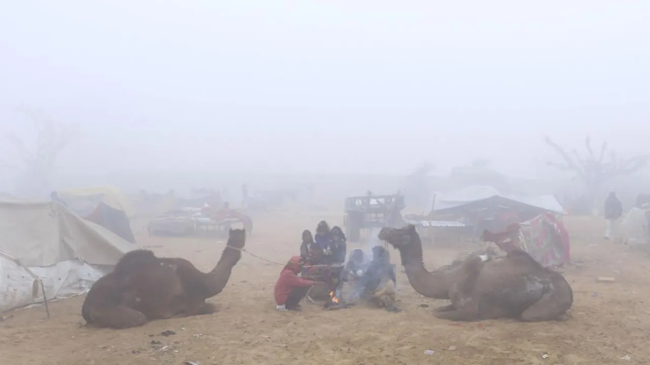 Cold in Rajasthan