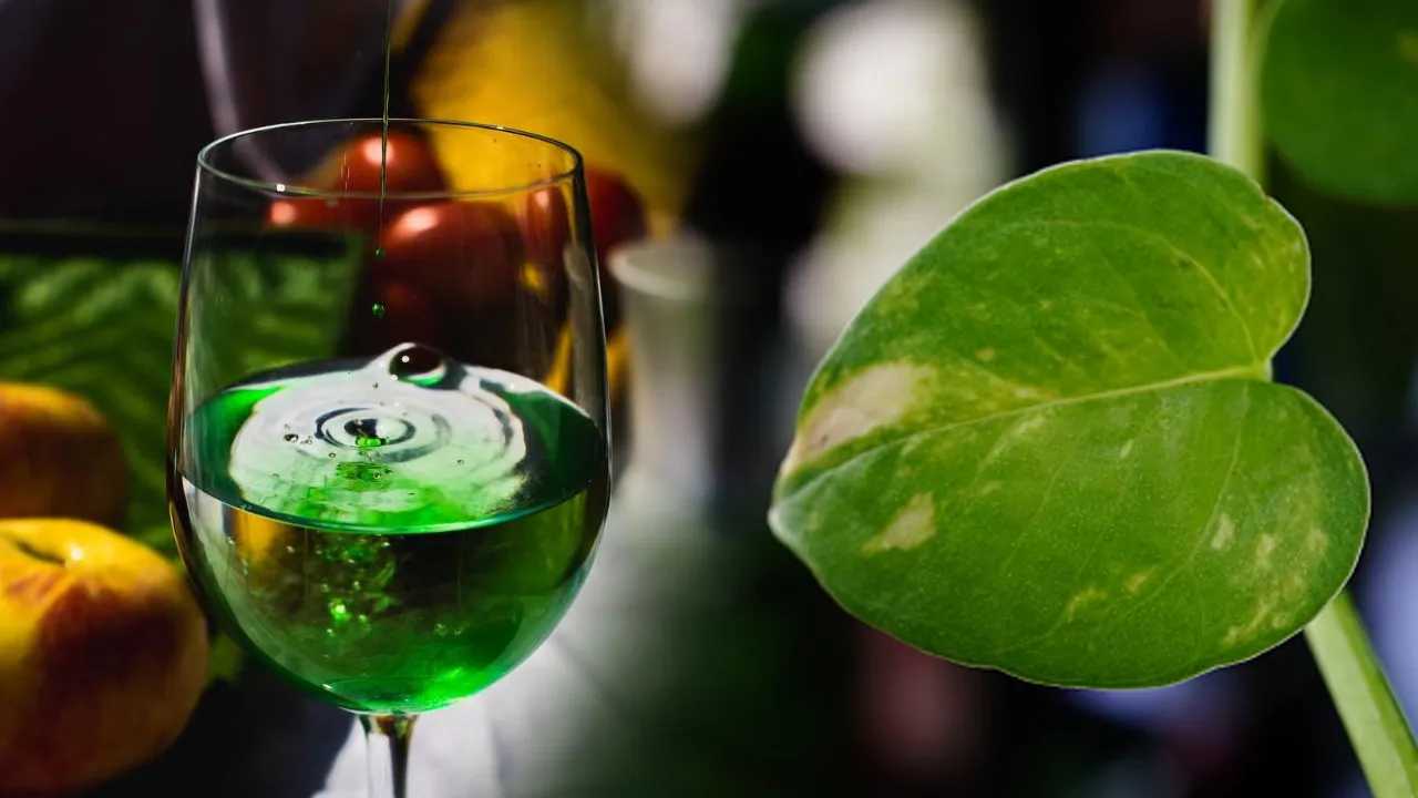 benefits of drinking betel leaves sherbet