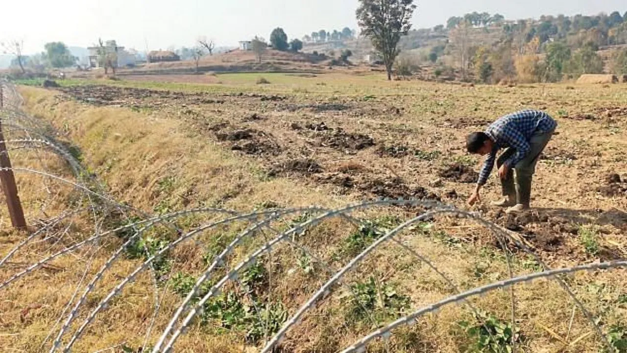 Farmer works near LOC