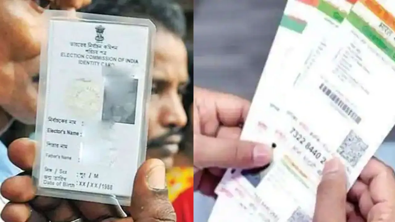 voter id