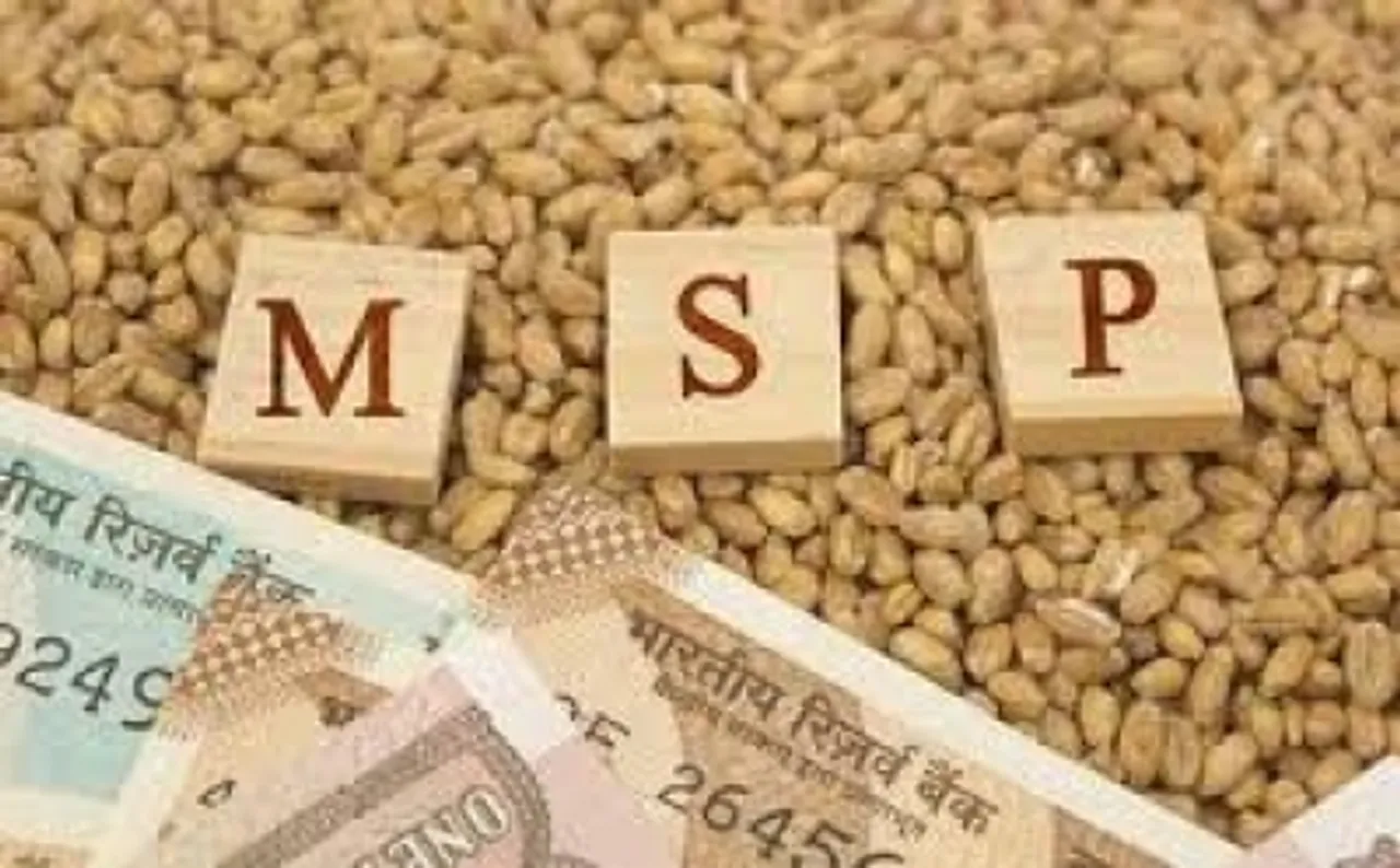Can MSP