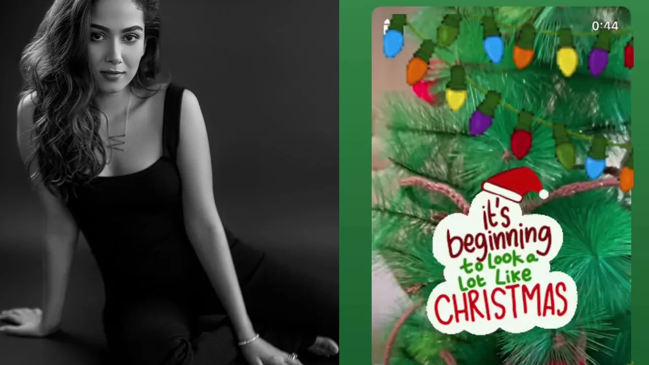 chritmas Mira Rajput