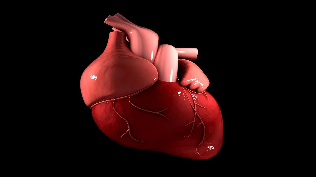 cardiac