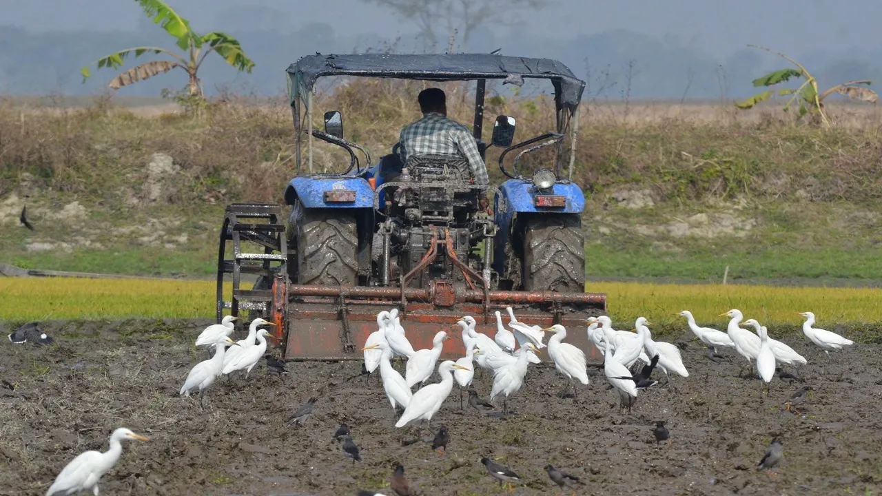 Climate Farming