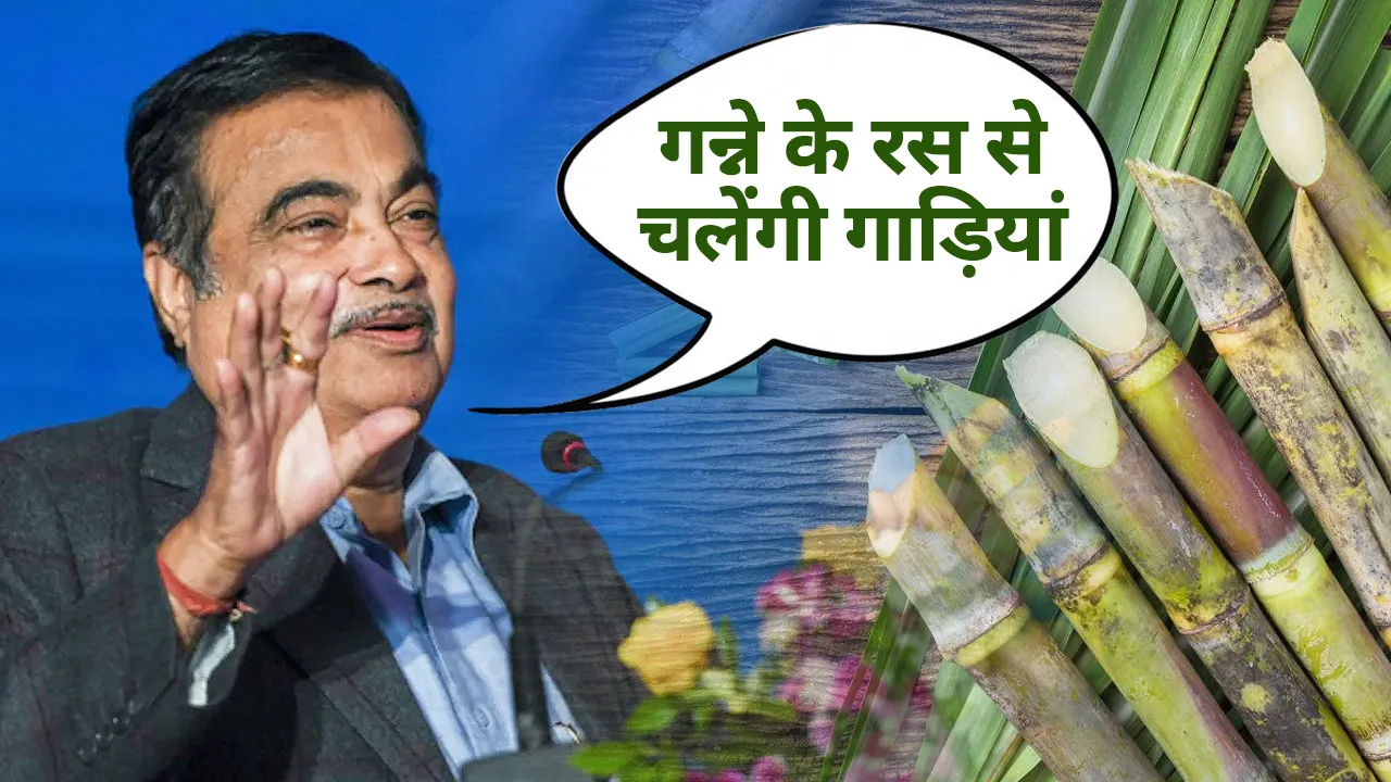 Nitin Gadkari News