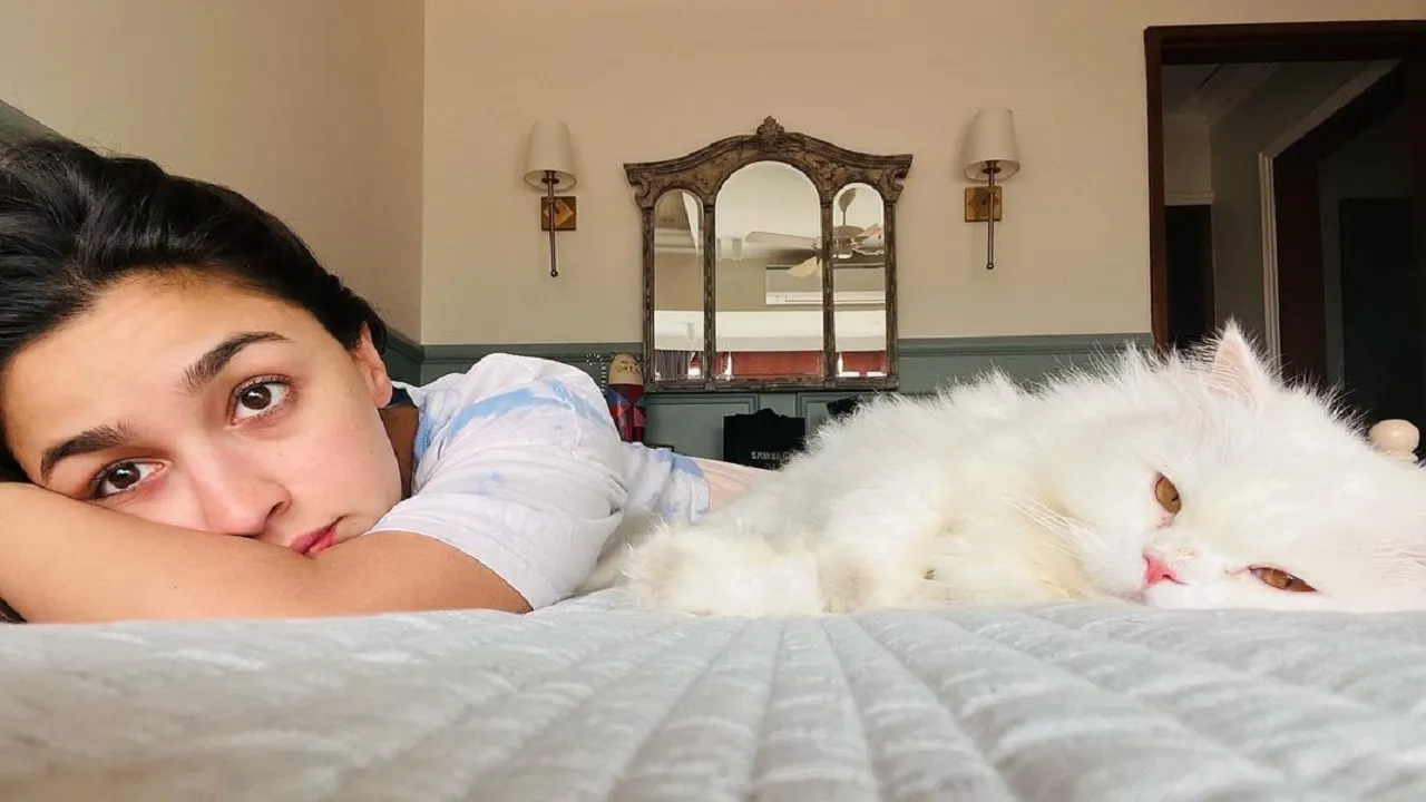 Alia bhatt