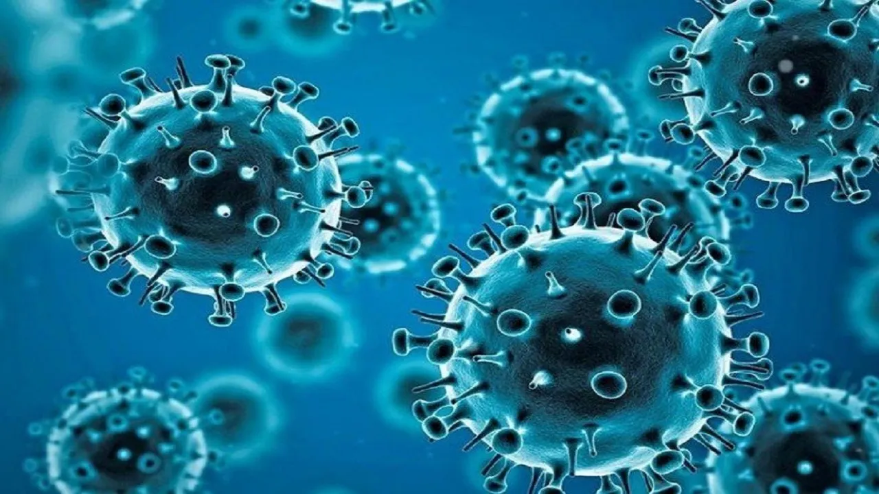 Coronavirus Cases in Delhi