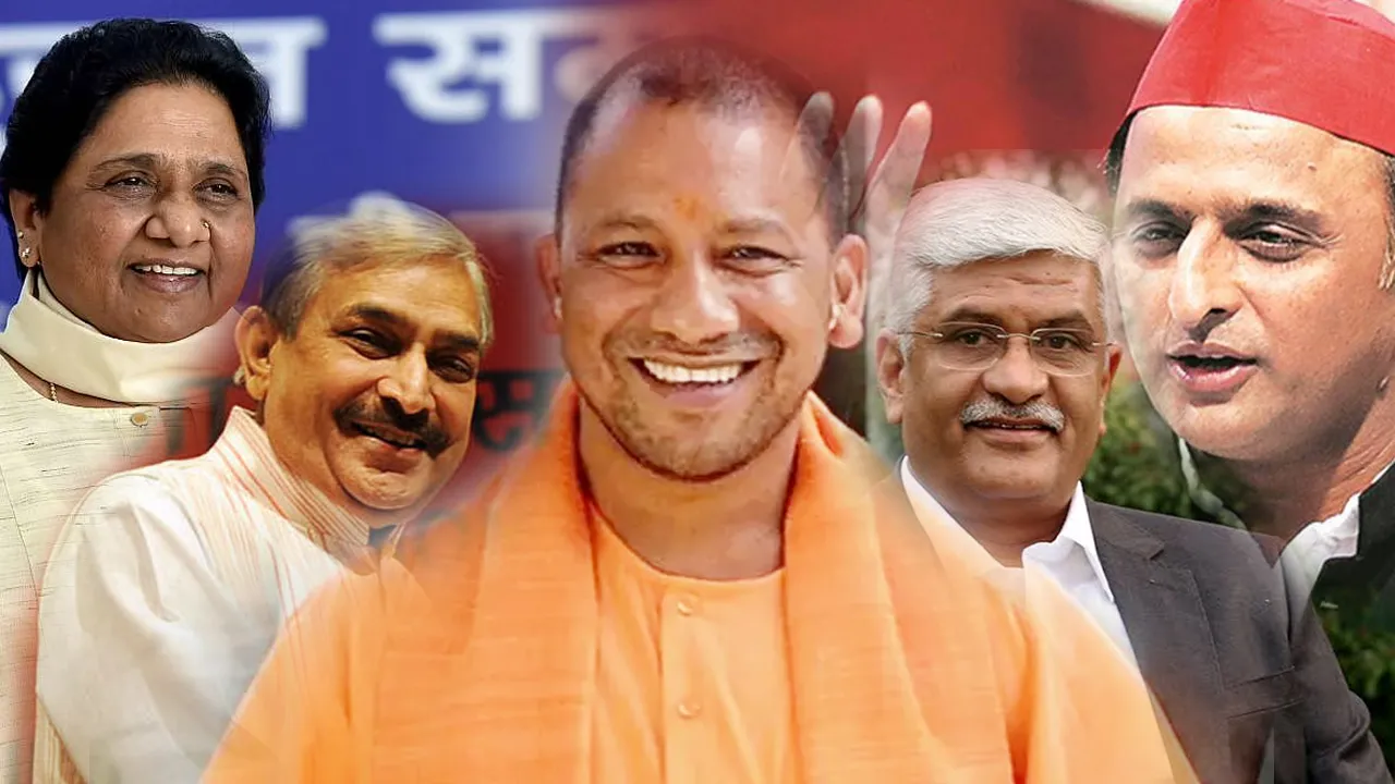 yogi