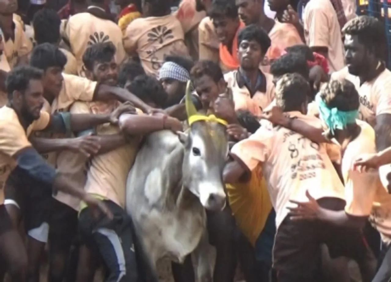 PETA India