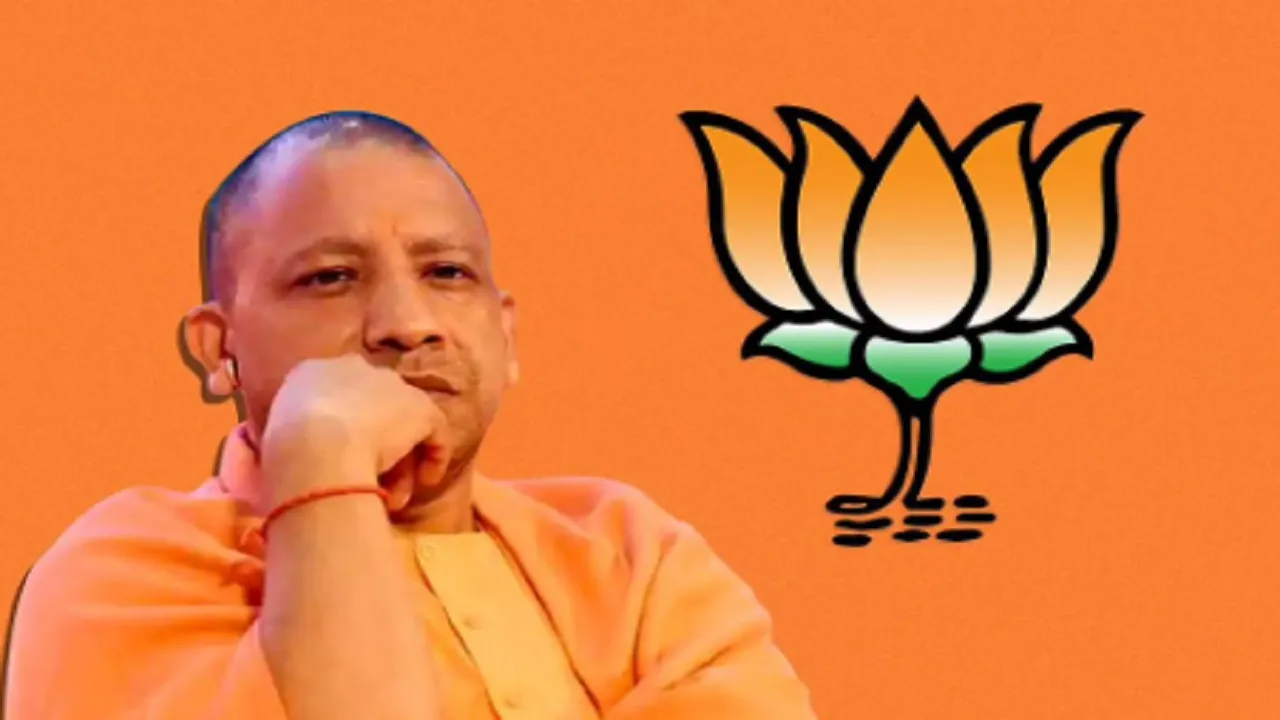 Yogi
