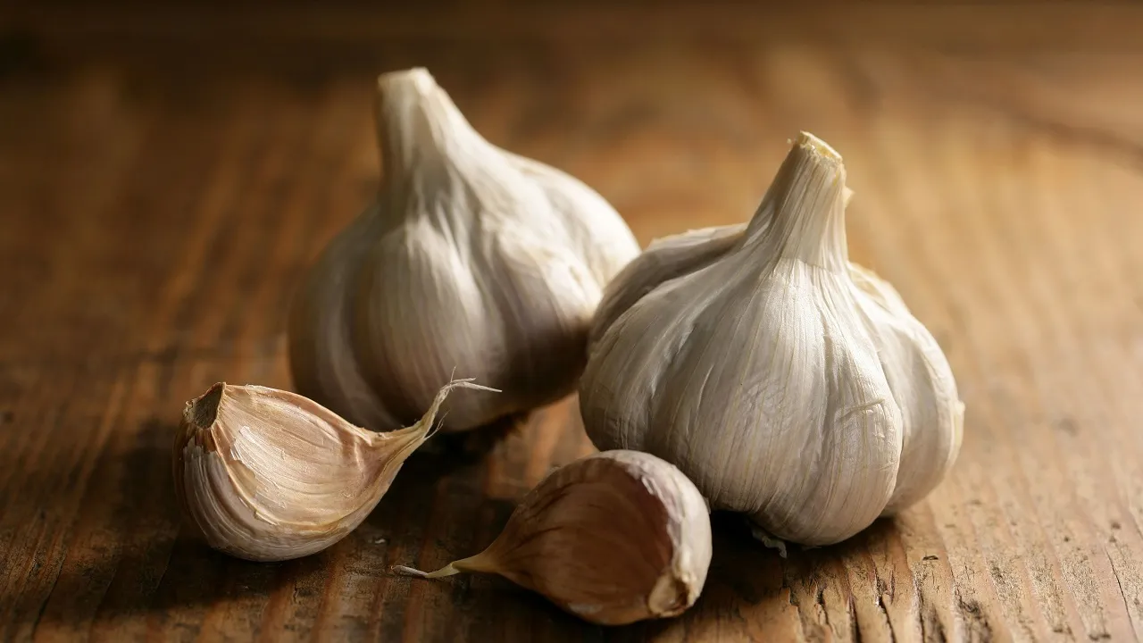 garlic