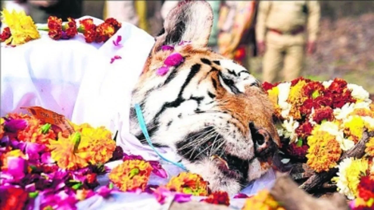 Sachin mourn