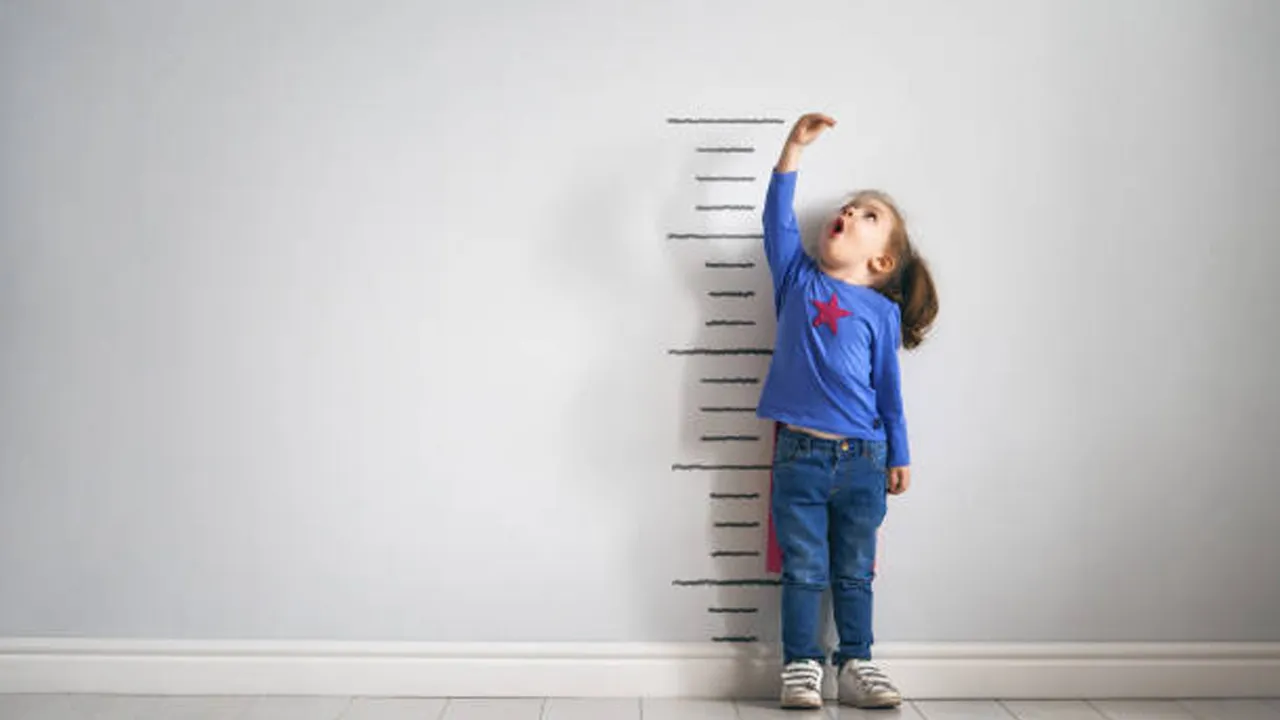 Increase Height Foods