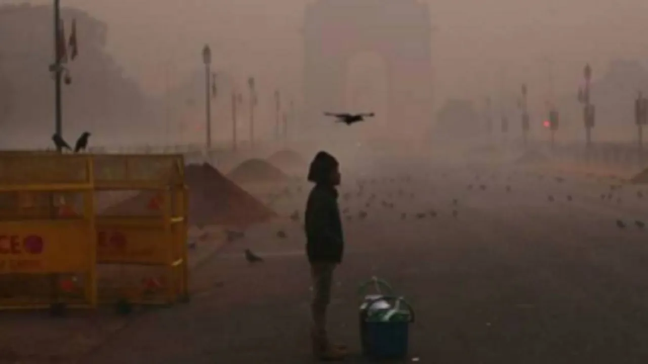 Delhi Cold