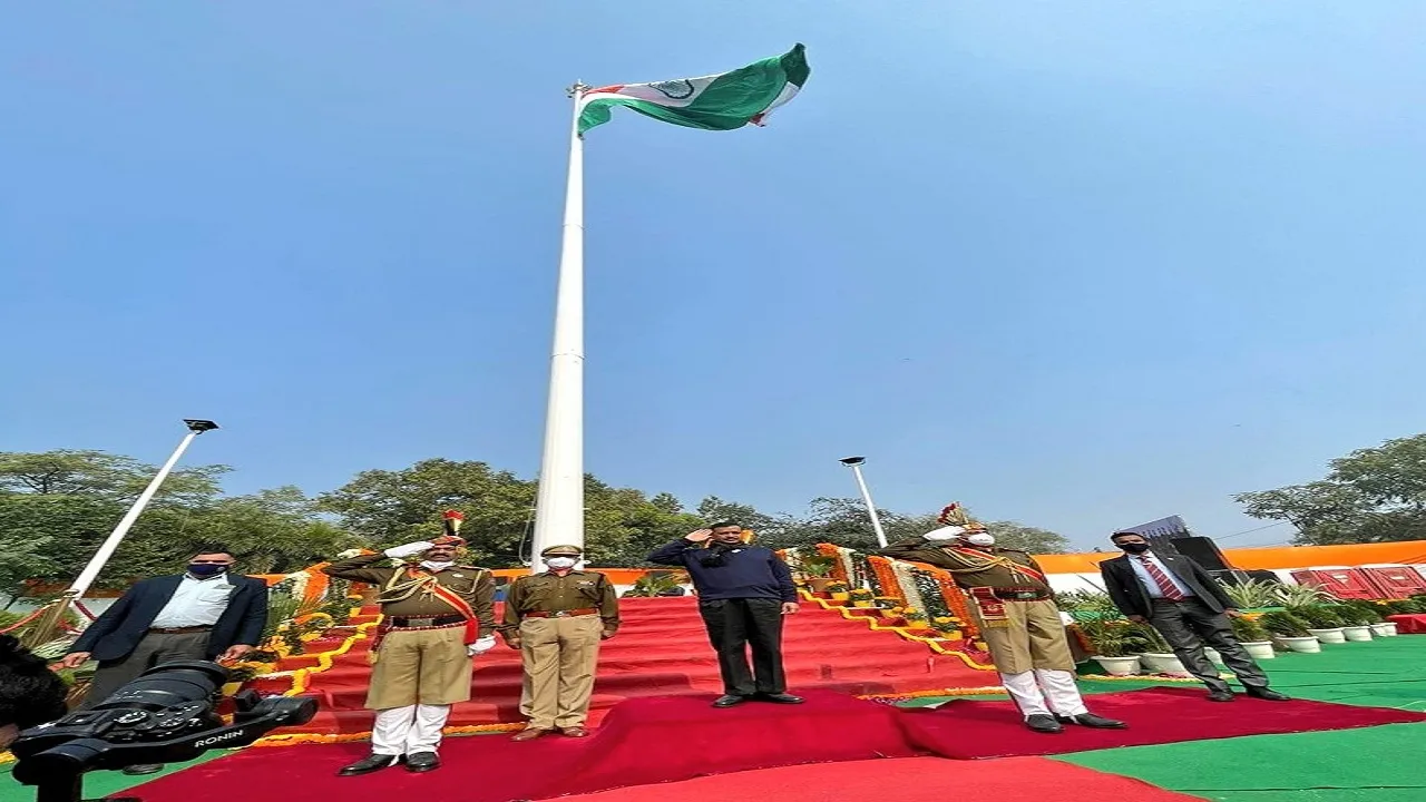 Delhi Flags