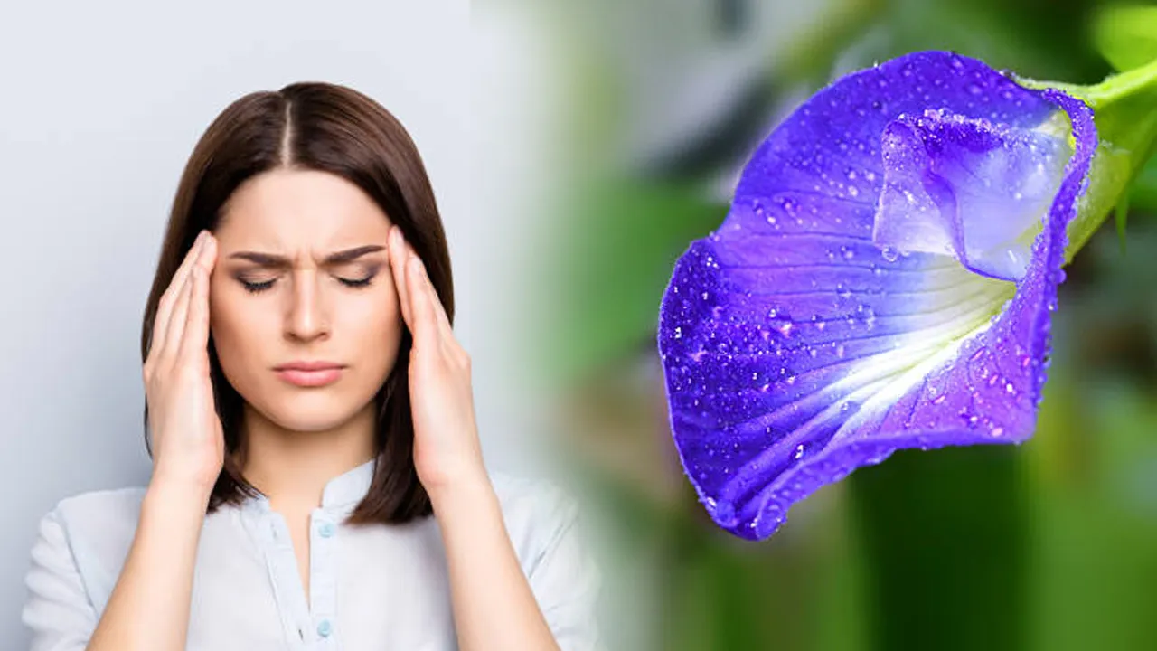 aparajita flower benefits