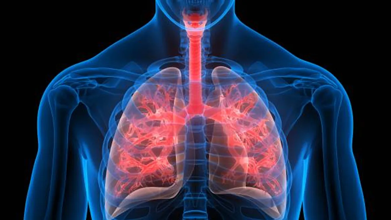 World Lung Cancer Day 2023