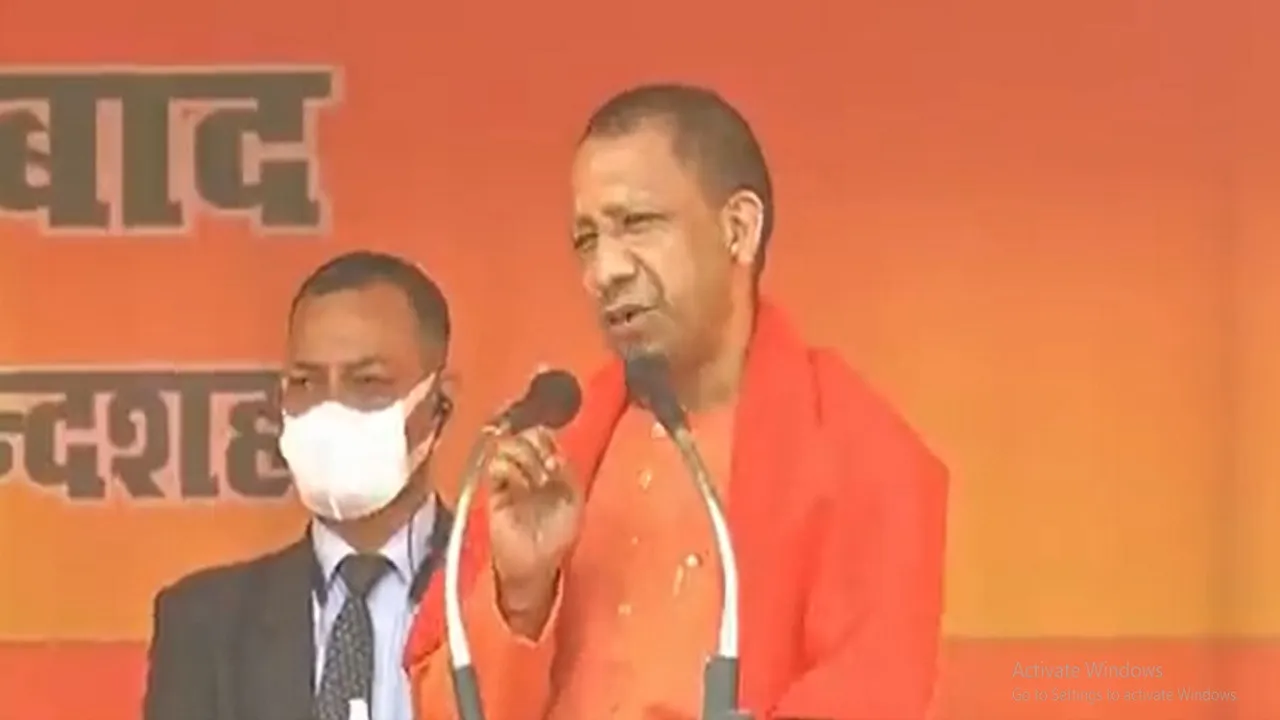 yogi