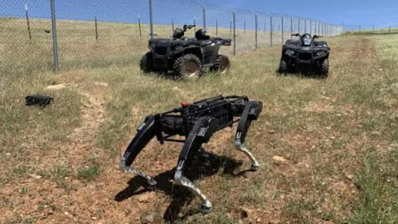 Robotic Dog