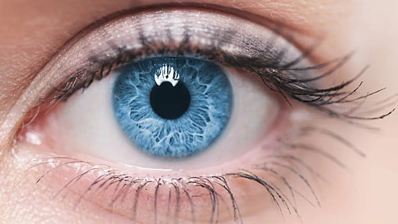 foods for improving eyesight