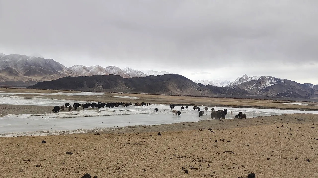 Chinese troops entered Indian territory