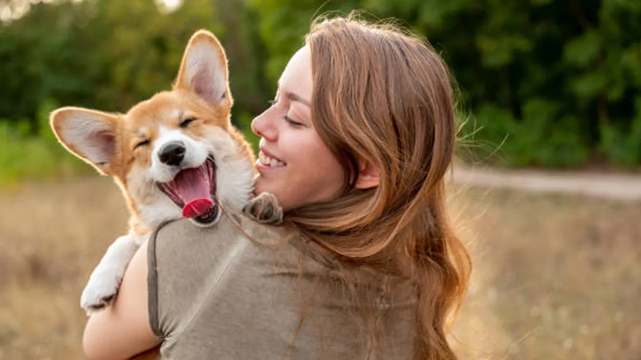 Dog Health Care Tips