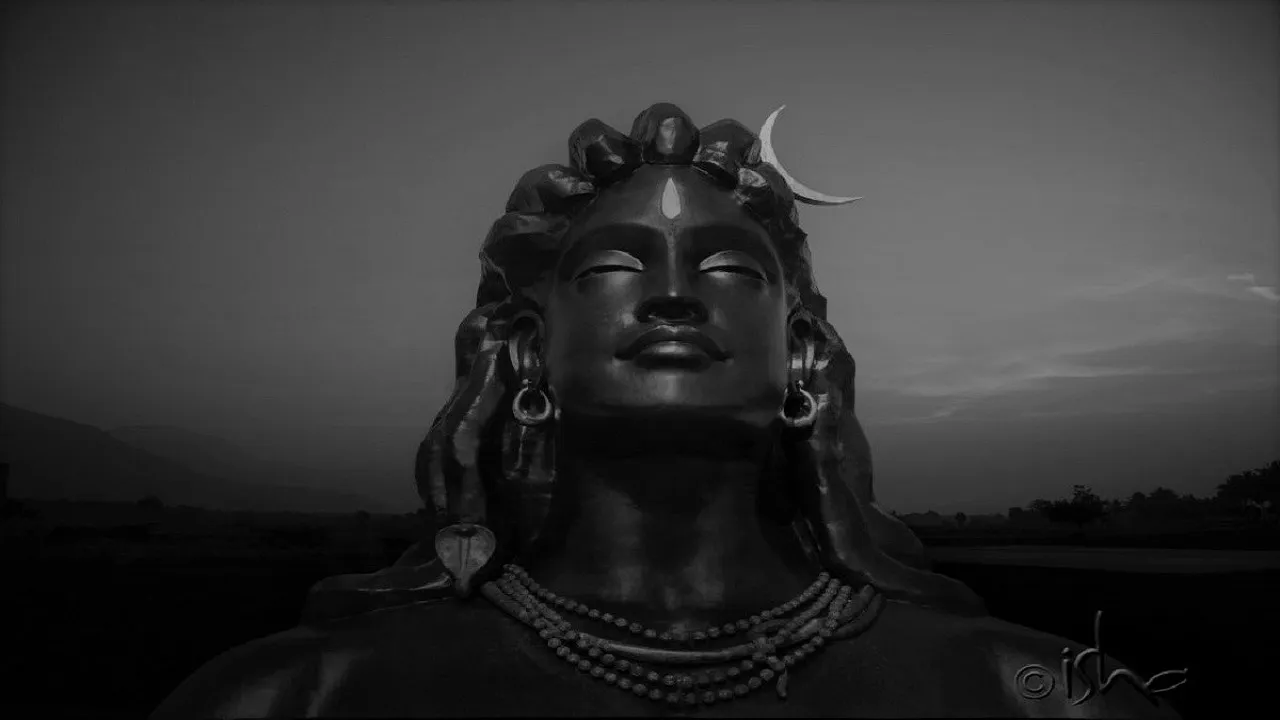 shiv