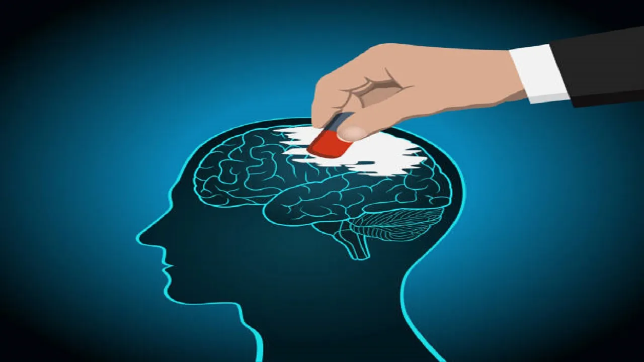 brain