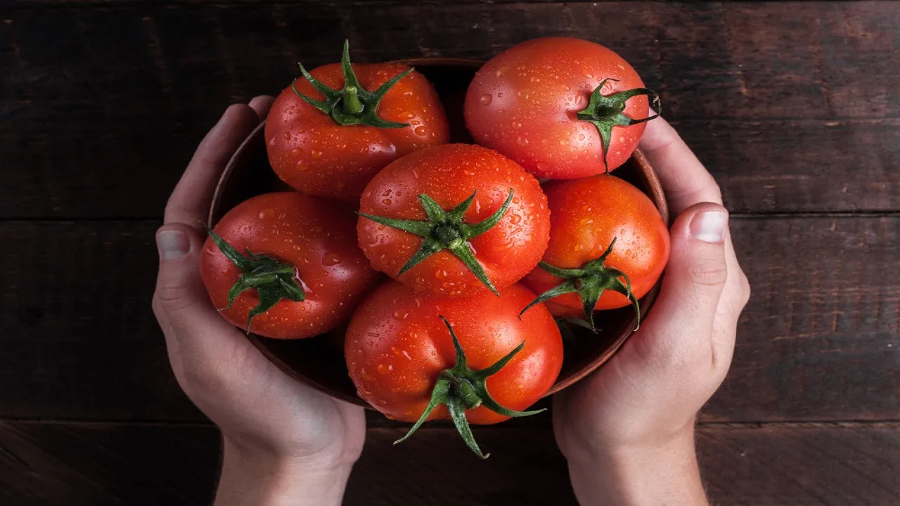 tomatoes