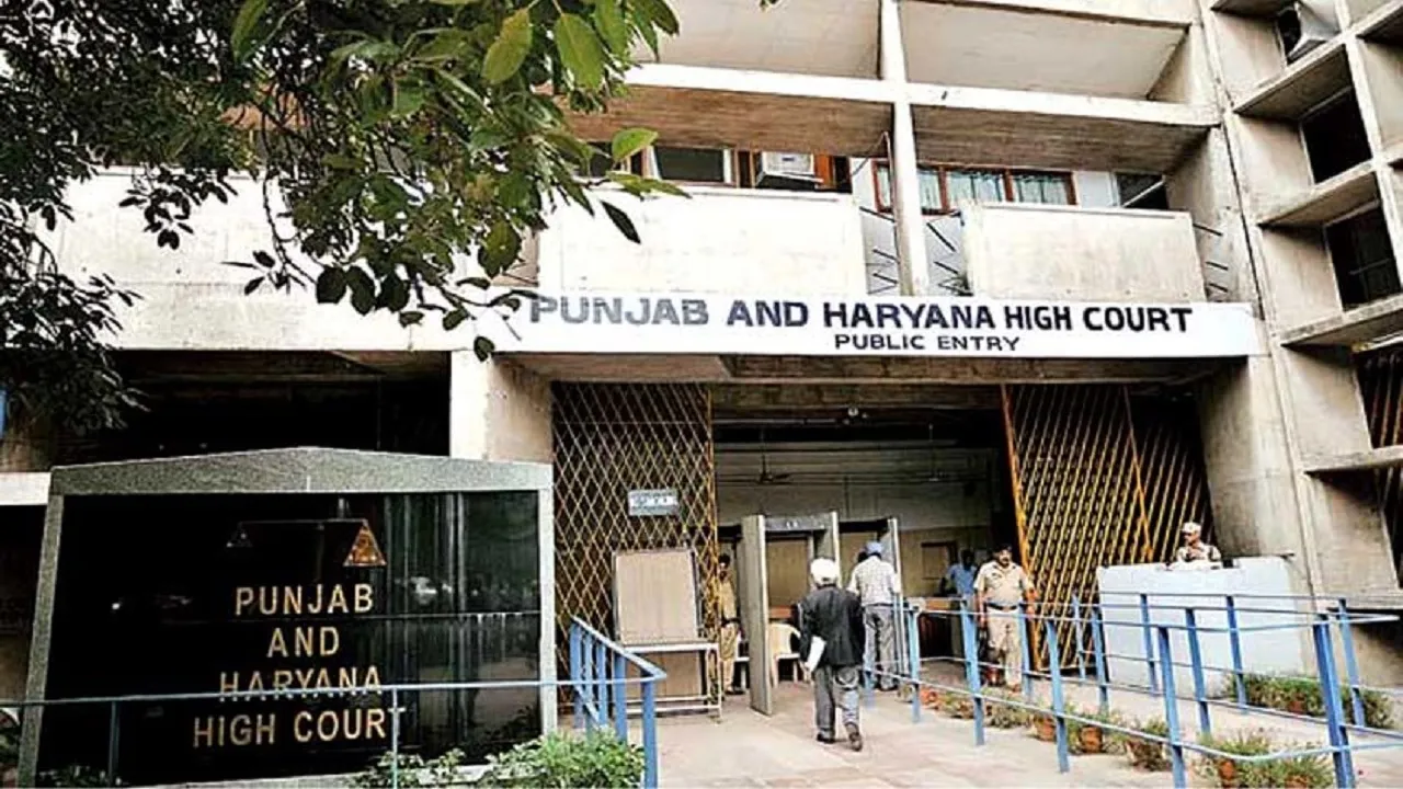 high court
