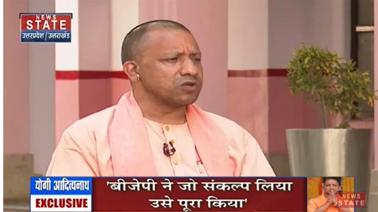 yogi