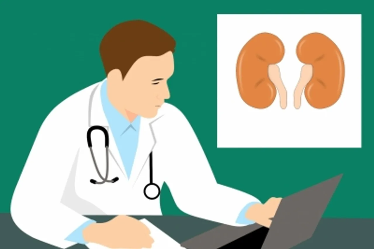 Kidney