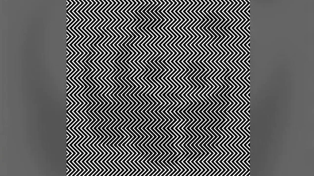 Optical Illusion Challenge